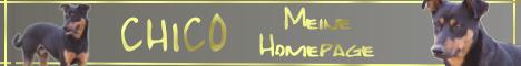 Chico Banner